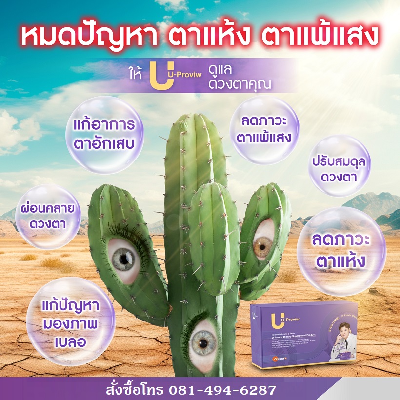 U-Proviw ผลิตภัณฑ์